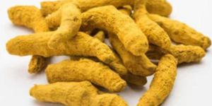 Nizamabad Turmeric Finger