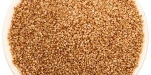 Kodo Millet Seeds