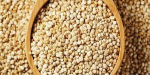 Quinoa Millet Seeds