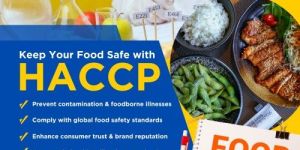 Haccp Consultant Services