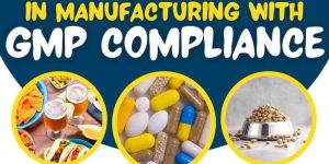 GMP Certification Consultancy