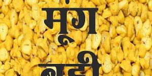 Moong Dal Badi