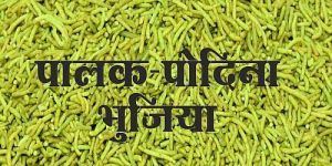 Palak Pudina Bhujia Namkeen