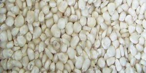 White Corn Seeds