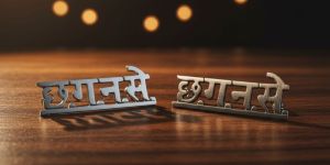 Chhattisgarh Home Guard Shoulder Batch