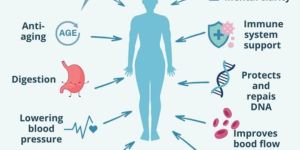 Nad +nicotinamide Adenine Dinucleotide Injection