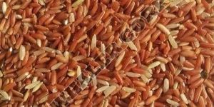 Red Rice