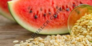Watermelon Seeds