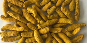 Turmeric Hybrid Finger