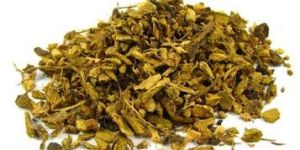 Yellow Dock Root