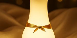 Silicone Giraffe Night Lamp