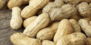 Peanut in Shell
