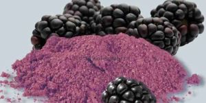 Spray Dried Blackberry Powder