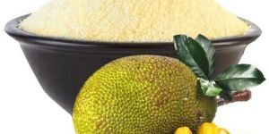 Dehydrated Jackfruit Powder