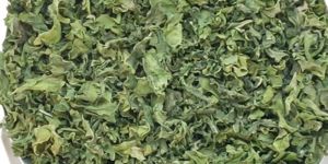 Dehydrated Spinach Leaves