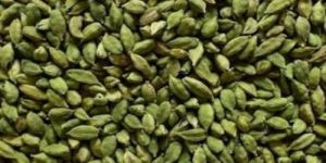 Superior Green Cardamom