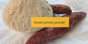 Sweet Potato Powder