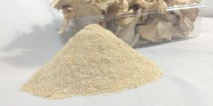 Oyster Mushroom Powder