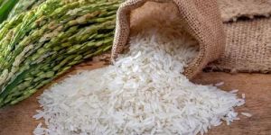 White Sella Basmati Rice