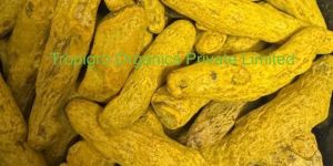 Nizamabad Double Polish Turmeric