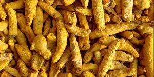Double Polished Turmeric Finger