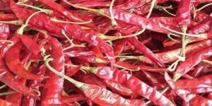 Guntur S10 Dry Red Chilli