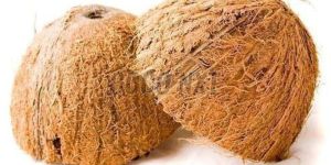 Hard Mature Coconut Shell