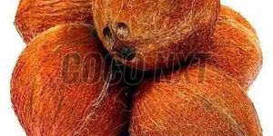 Whole Husked Mature Coconut