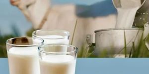 Goat Milk