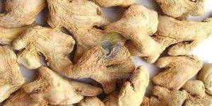 Dried Ginger