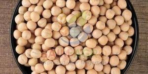White Dry Peas