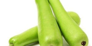 Fresh Green Bottle Gourd