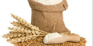 High Quality Wheat Flour