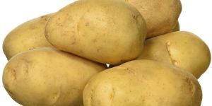 Fresh Brown Potato