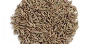 European 99% Cumin Seeds