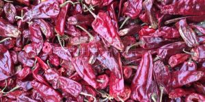Chatpata Dry Red Chilli