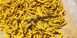 Nizamabad Turmeric Finger