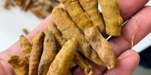 Salem Turmeric Finger