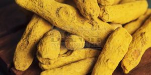 Sangli Turmeric Finger