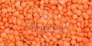 Whole Red Masoor Dal