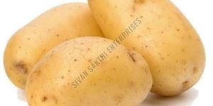 Fresh Potato