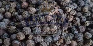 Premium Quality Black Pepper Seeds