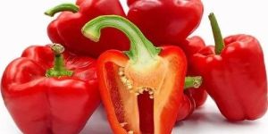 Red Capsicum Bell Pepper