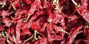 Syngenta Byadgi Dried Chilly