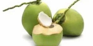 Whole Tender Coconut