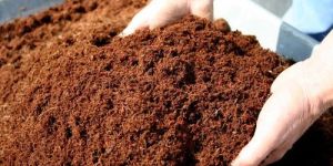 Vermicompost Manure