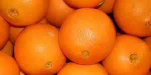 205 Grade Fresh Orange
