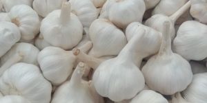 Fresh Bom Garlic