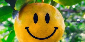 96 Grade Fresh Orange