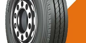 Winmile R Ceat Truck Tyre